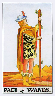 betekenis tarotkaart staven schildknaap bij het kaartleggen met de tarot