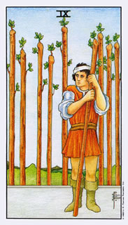 betekenis tarotkaart staven negen bij het kaartleggen met de tarot